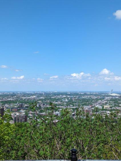 Orchid Lodgement Montréal Extérieur photo